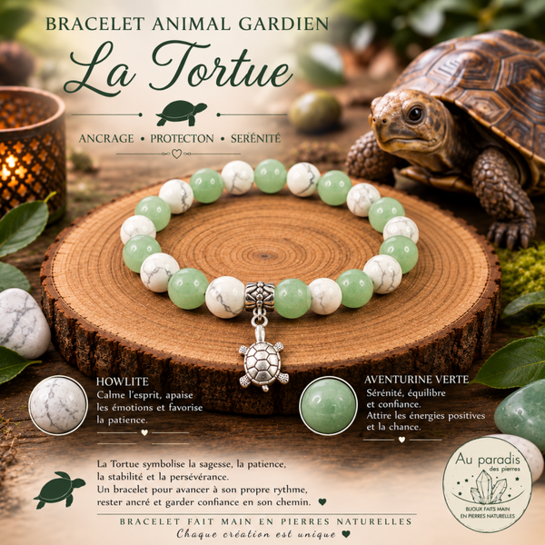 Tortue