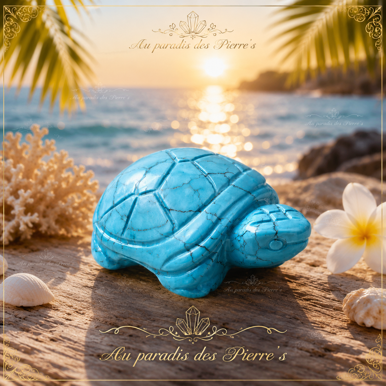 🐢Tortue en Turquenite🐢
