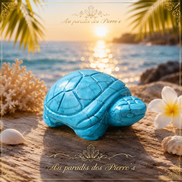 🐢Tortue en Turquenite🐢