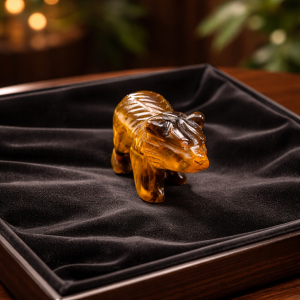 🐻Ours en oeil de Tigre 🐻