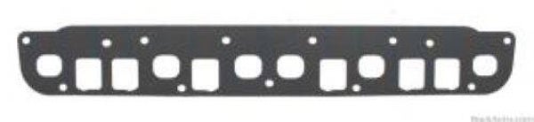 Intake and Exhaust Manifold Gasket