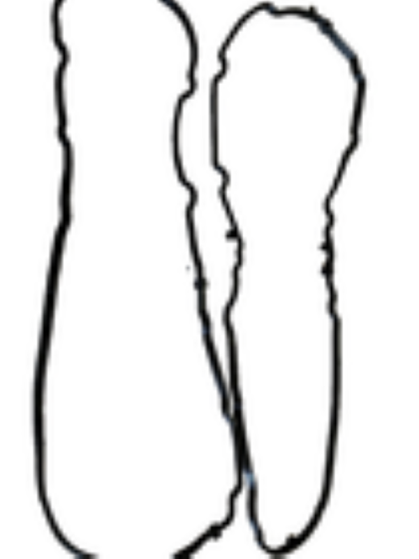 Valve Cover Gasket PAIR