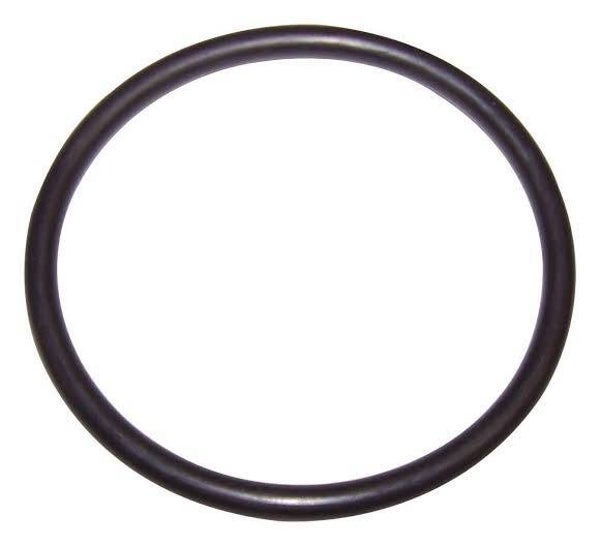 Fuel Sending Unit O-Ring