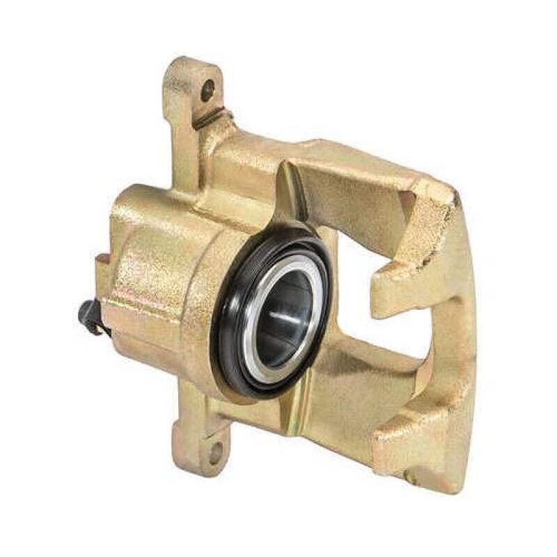 Brake Caliper (Rear)