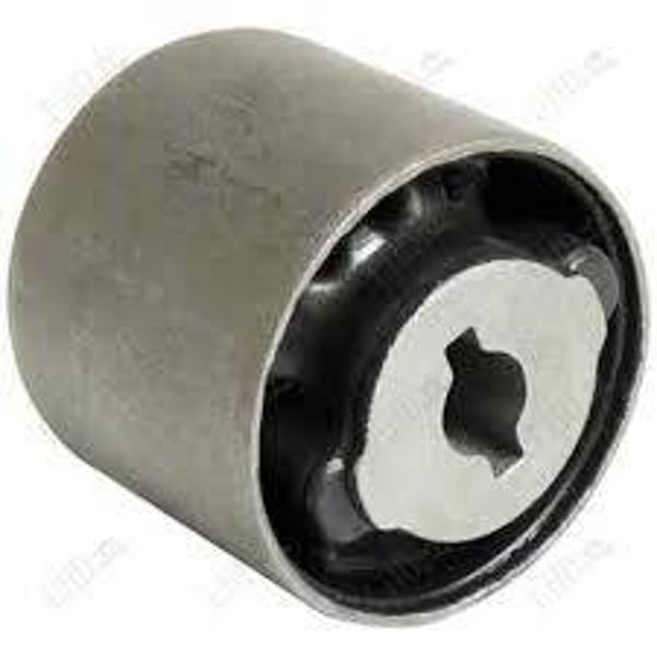 Differential Mount (Rear)