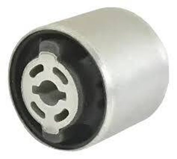 Differential Mount (Rear)
