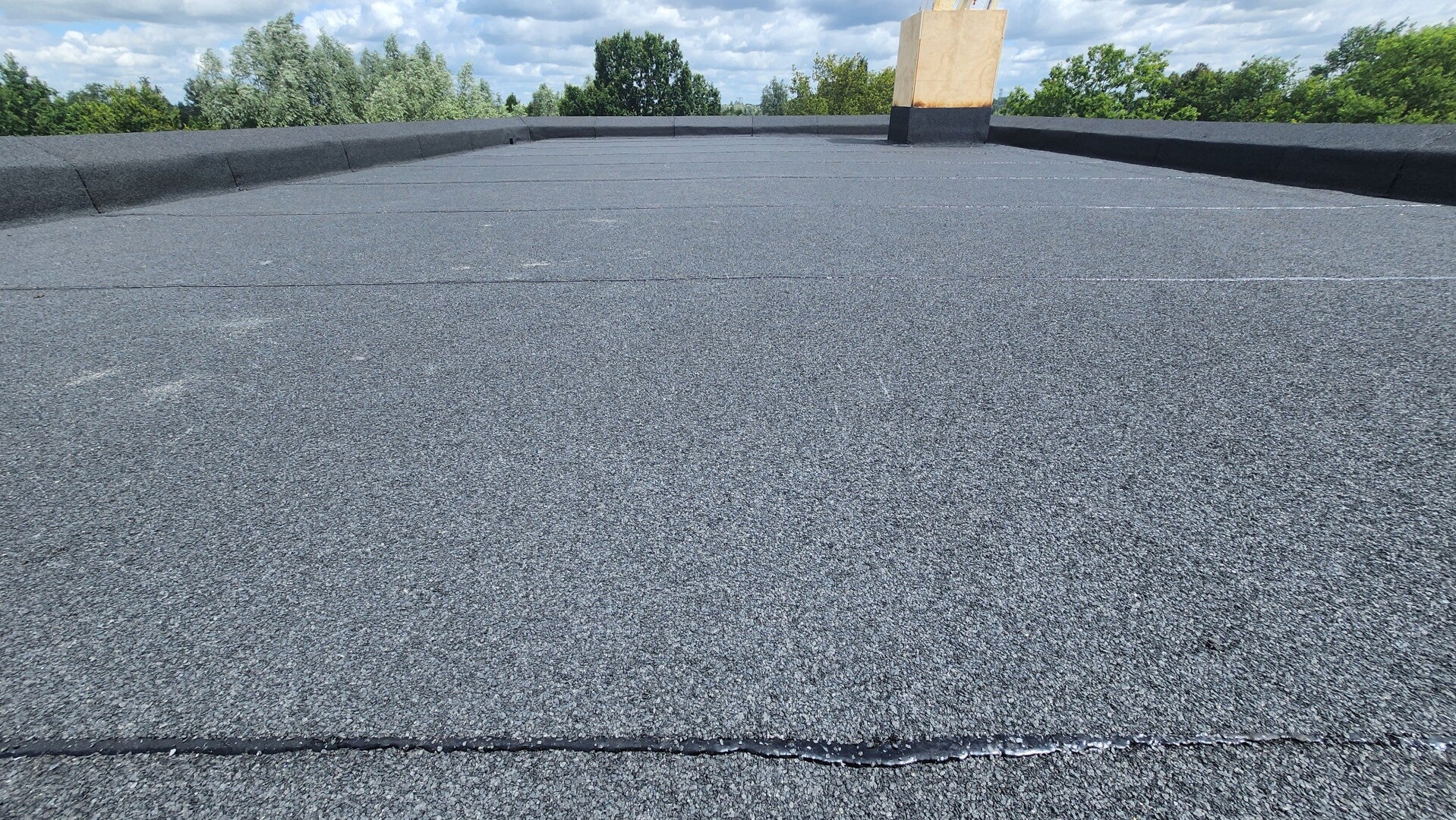 20240628_115525-standard.jpg