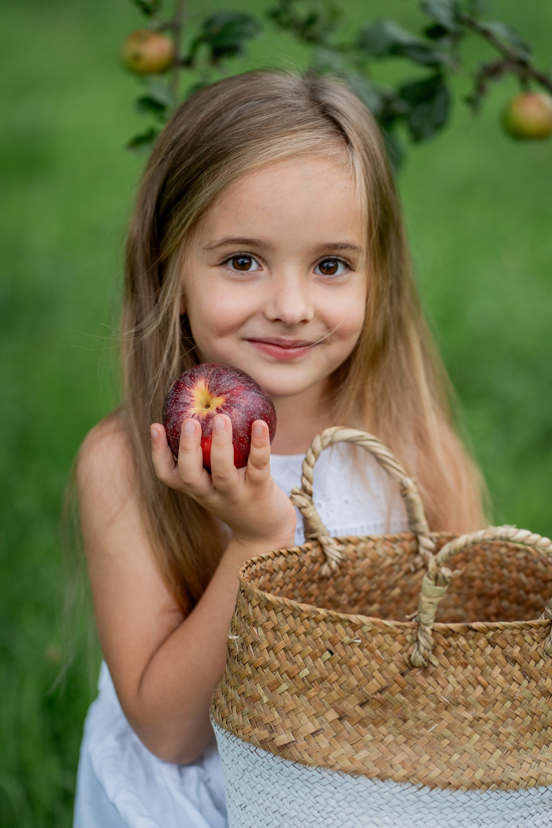 Bessere-Äpfel Bessere-Äpfel