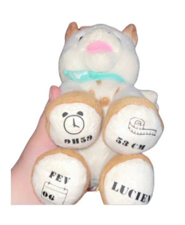 Peluche Sophie
