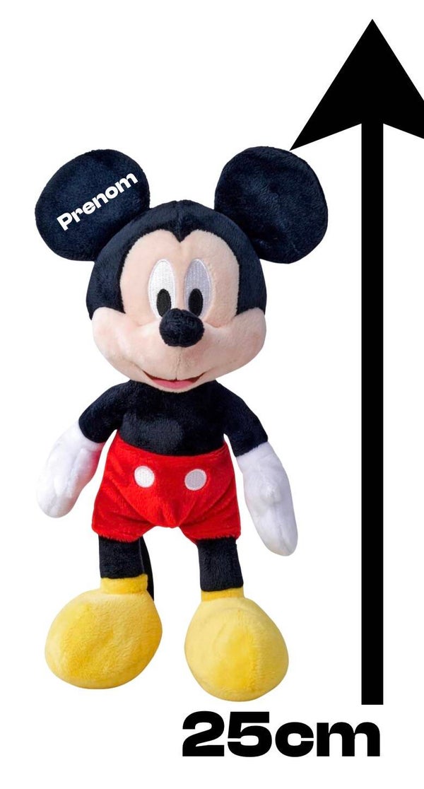 Mickey personnalisée 🐭