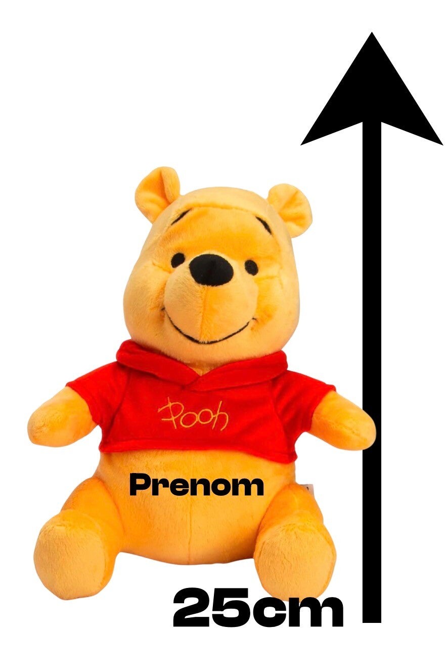 Winnie personnalisée  🐻