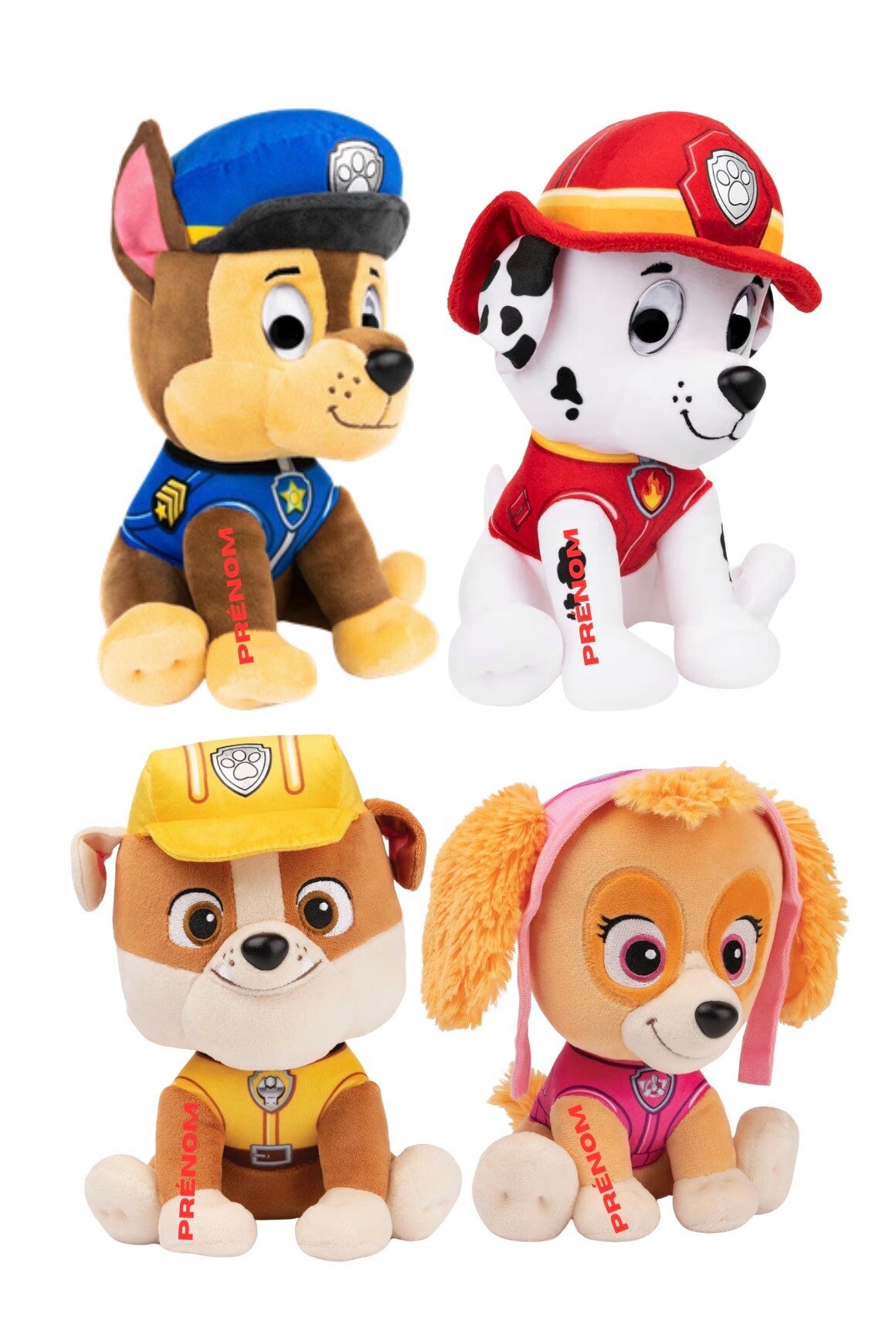 Personnage paw patrouille 🐾