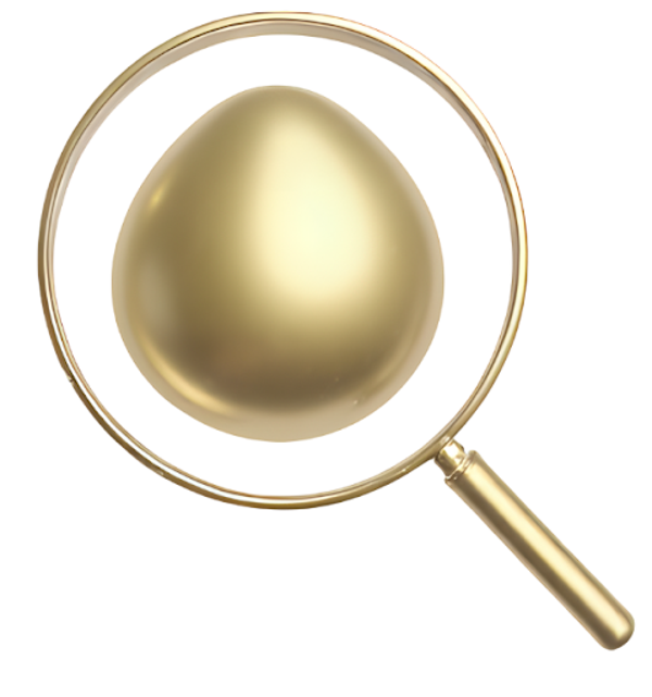 Challenge: Investigation & Orientation Package