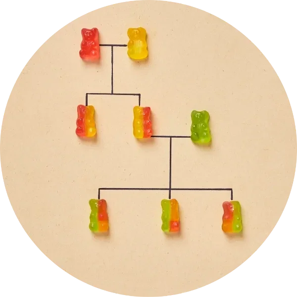 Genograma dibujado con fichas de colores, sesión individual de Constelaciones Familiares
