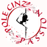 Studio Pole Cinz Passion Aerial work