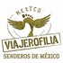 viajerofilia