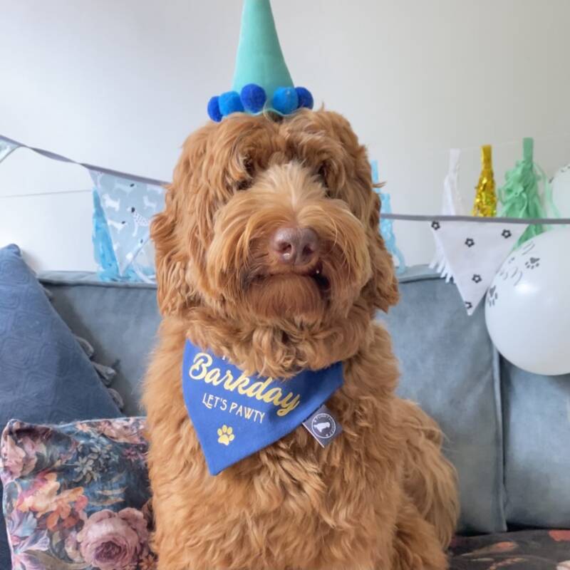 verjaardagbandana Mosey