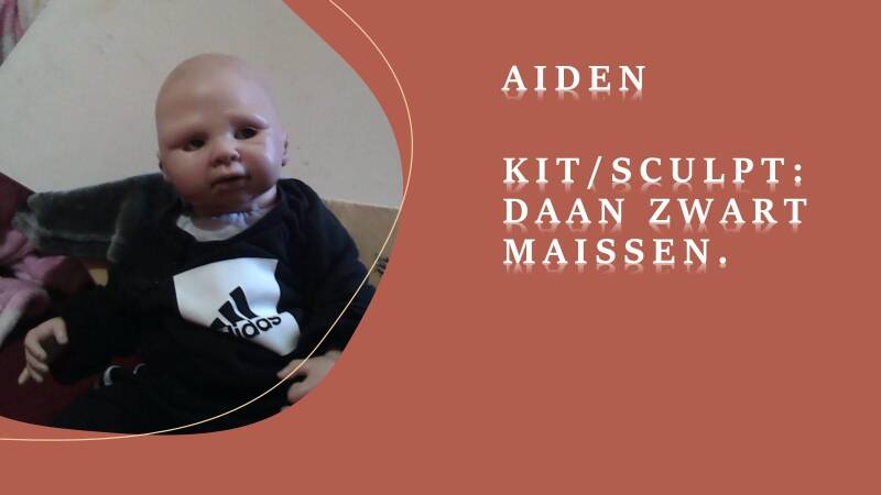 aiden-standard-8ldhel.jpg