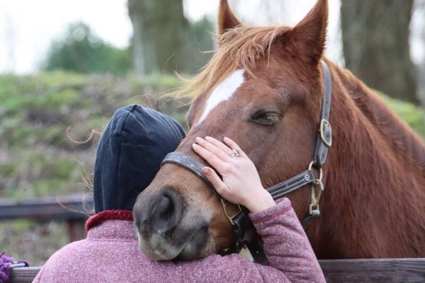 Online lezing: Wanneer is het genoeg?