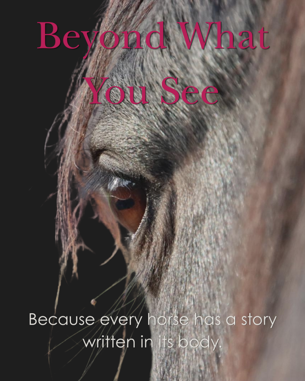 Cursus: Beyond What You See