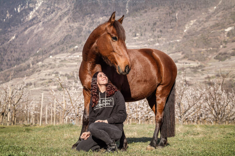 Animaux de compagnie Photographe animalière Valais chiens 