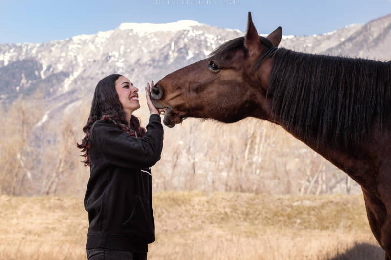 Animaux de compagnie Photographe animalière Valais chiens 
