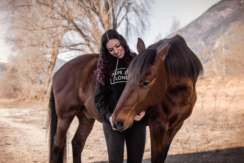 cheval Photographe animalière Valais Séance photo Chiens Animaux de compagnie