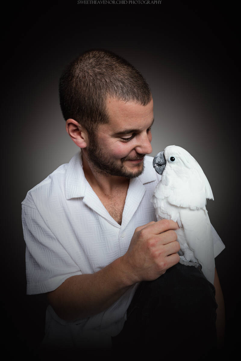Animaux de compagnie Photographe animalière Valais chiens 