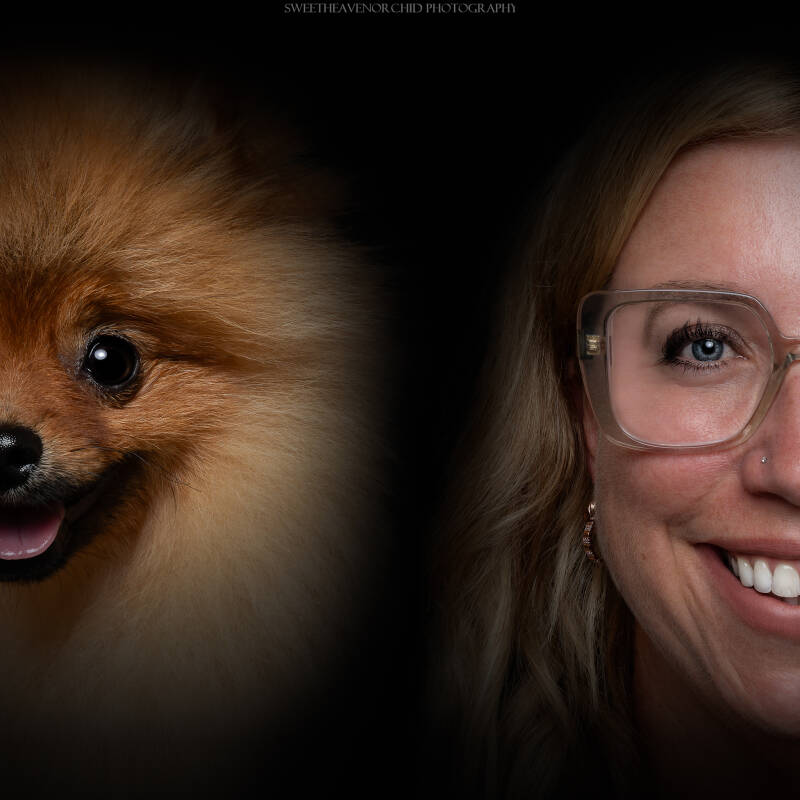 Animaux de compagnie Photographe animalière Valais chiens