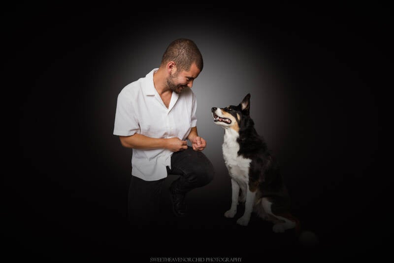 Animaux de compagnie Photographe animalière Valais chiens 