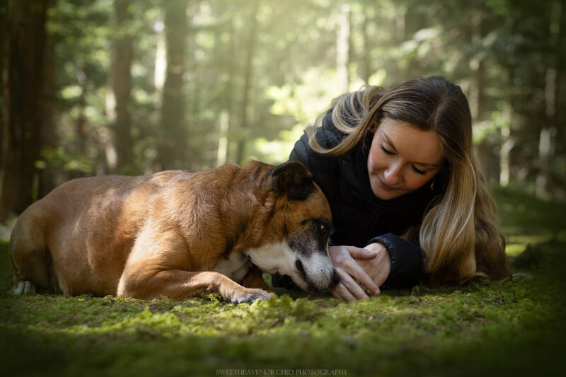 Animaux de compagnie Photographe animalière Valais chiens 