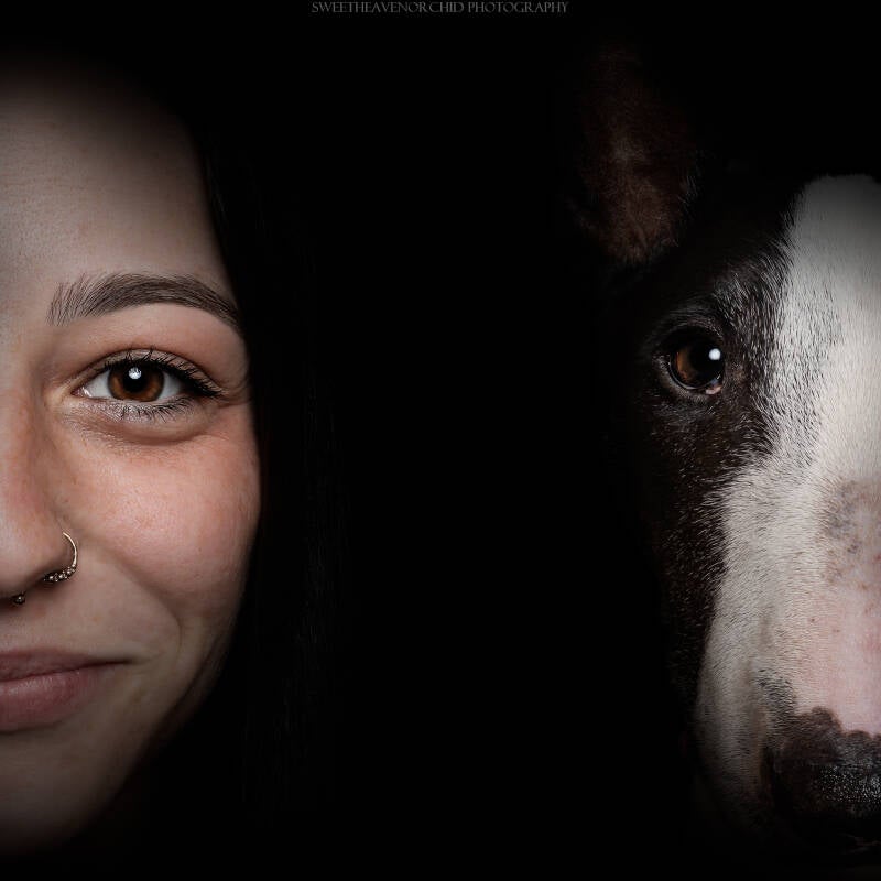 Animaux de compagnie Photographe animalière Valais chiens 