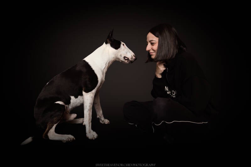 Animaux de compagnie Photographe animalière Valais chiens 