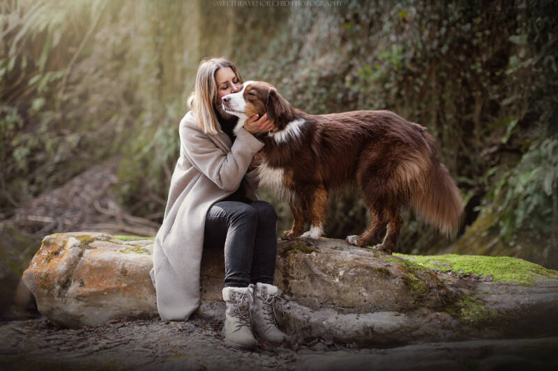 Animaux de compagnie Photographe animalière Valais chiens 