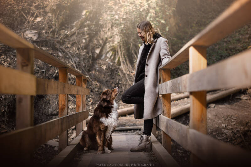Animaux de compagnie Photographe animalière Valais chiens 