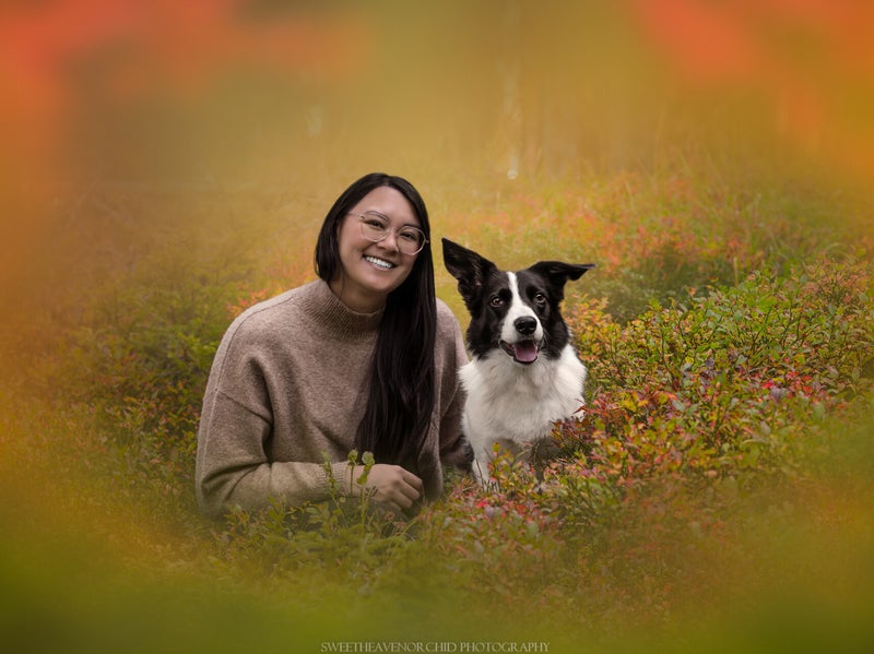 Animaux de compagnie Photographe animalière Valais chiens