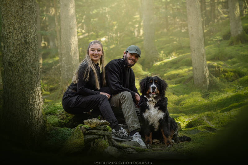 Animaux de compagnie Photographe animalière Valais chiens 