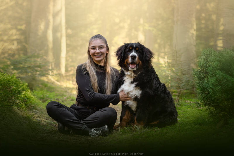 Animaux de compagnie Photographe animalière Valais chiens 