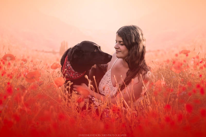 Animaux de compagnie Photographe animalière Valais chiens 