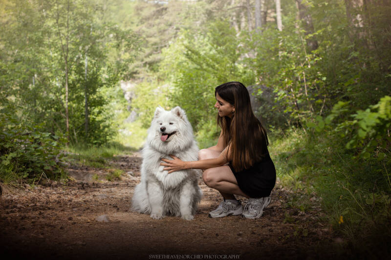Animaux de compagnie Photographe animalière Valais chiens 