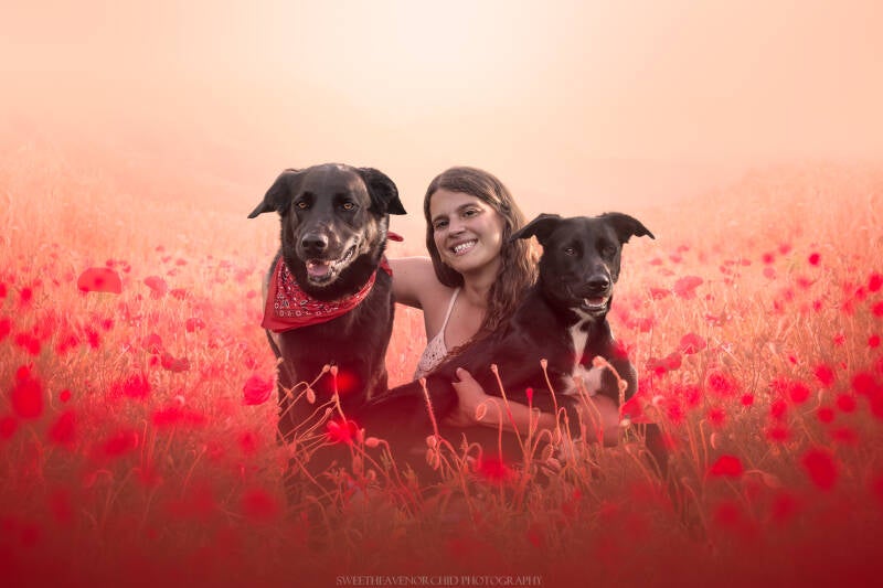 Animaux de compagnie Photographe animalière Valais chiens 