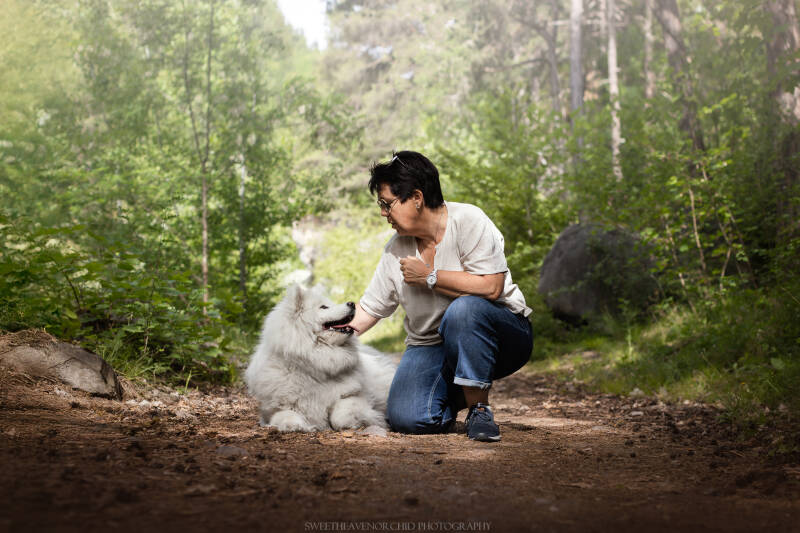 Animaux de compagnie Photographe animalière Valais chiens 