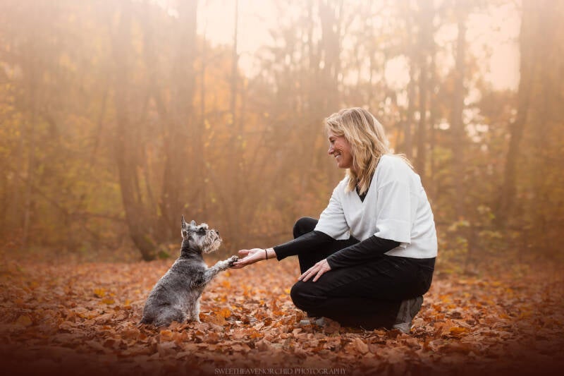 Animaux de compagnie Photographe animalière Valais chiens 