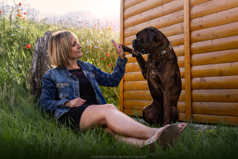 Animaux de compagnie Photographe animalière Valais chiens 