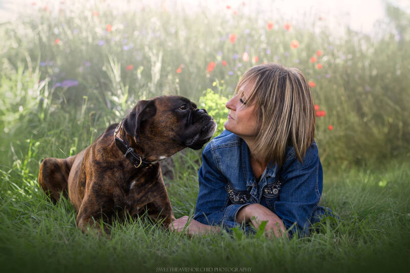 Animaux de compagnie Photographe animalière Valais chiens 