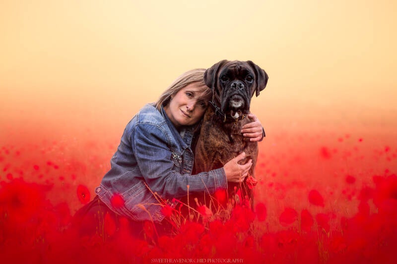 Animaux de compagnie Photographe animalière Valais chiens 