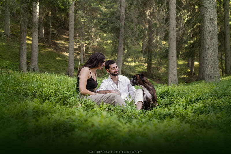 Animaux de compagnie Photographe animalière Valais chiens 