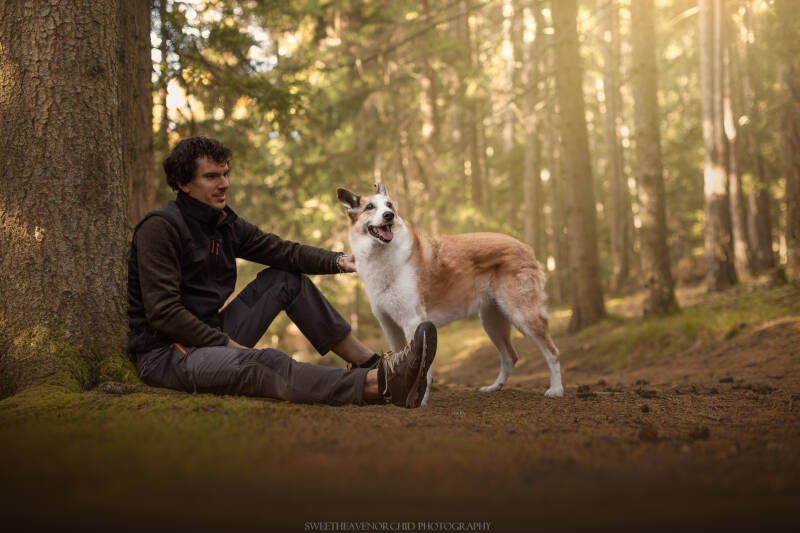 Animaux de compagnie Photographe animalière Valais chiens 