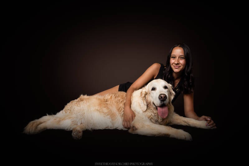 Animaux de compagnie Photographe animalière Valais chiens 