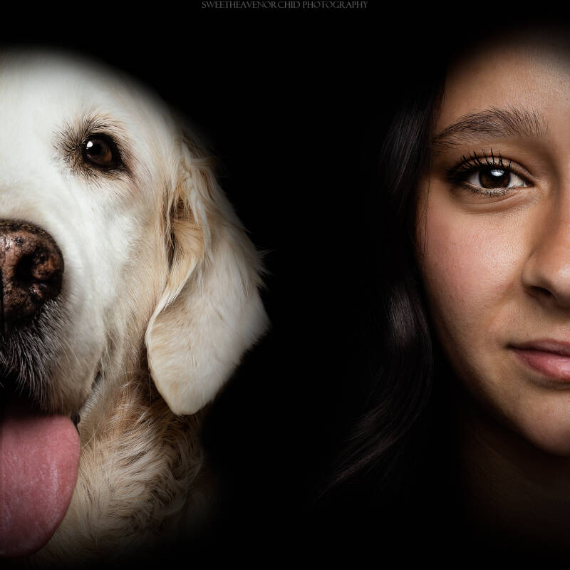 Animaux de compagnie Photographe animalière Valais chiens 
